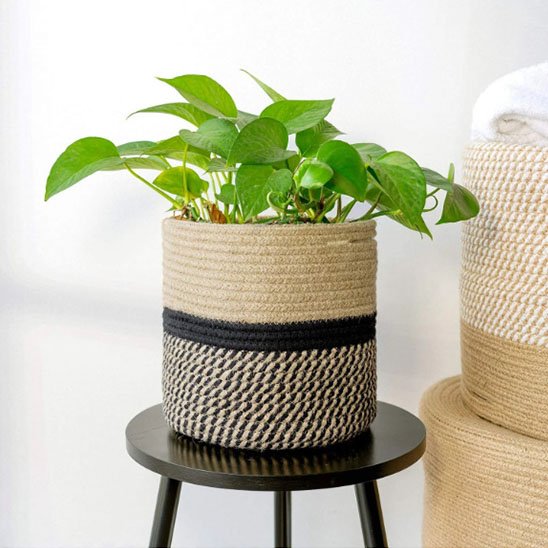 Cache pots