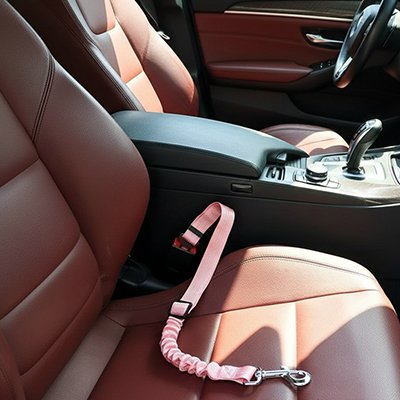 Ceinture de sécurité pour chien 