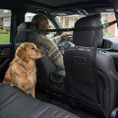 Filet voiture chien