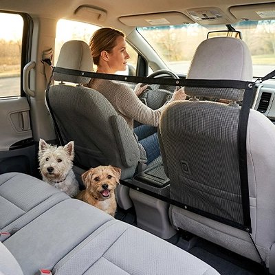 Filet voiture chien