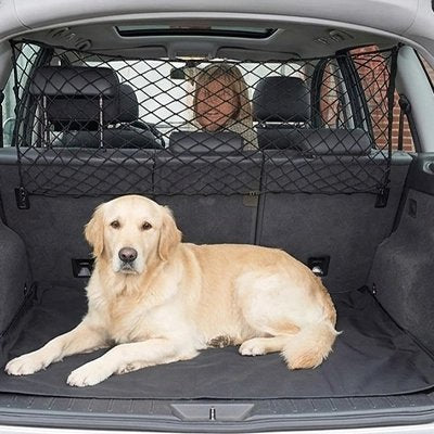 Filet voiture chien